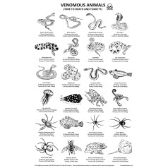 Venomous Animals Tea Towel